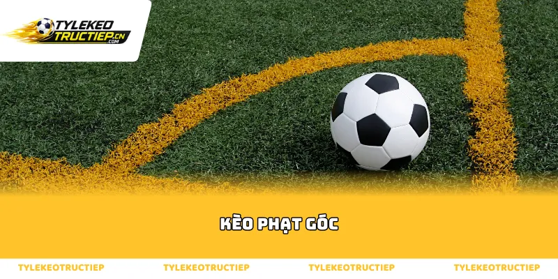 Sức hút khó cưỡng của kèo phạt góc trong bóng đá hiện đại